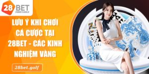 Lưu Ý Khi Chơi Cá Cược Tại 28BET