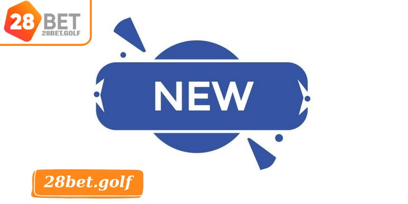 Tin tức nhà cái là nguồn dữ liệu  quan trọng cho người chơi 